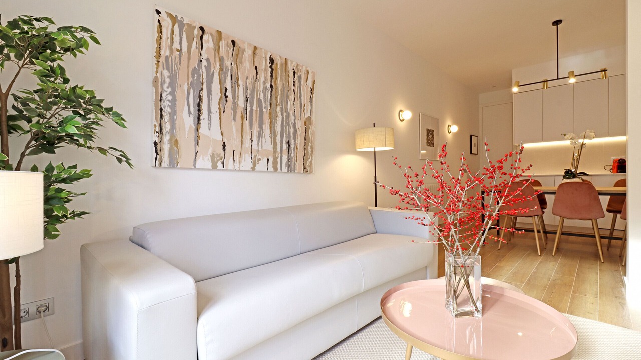 Photo of Livingroom in Embajadores