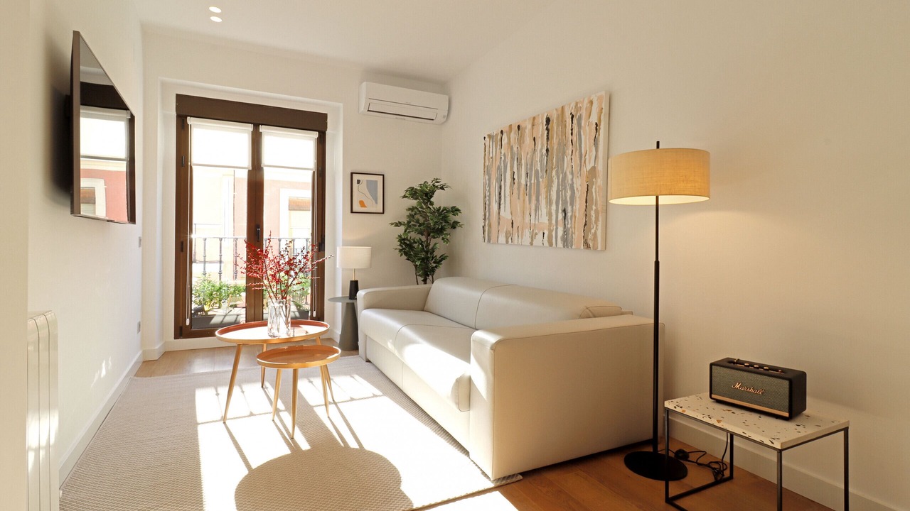 Photo of Livingroom in Embajadores