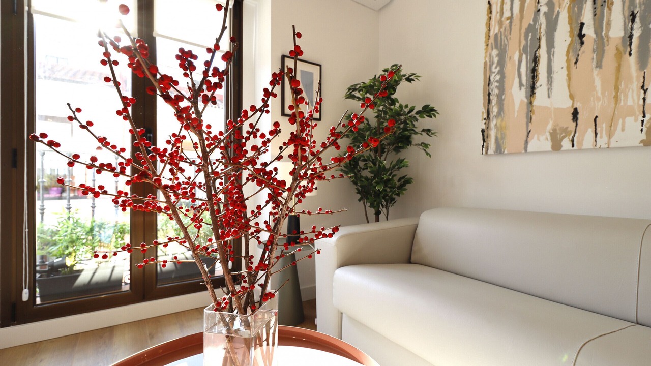 Photo of Livingroom in Embajadores