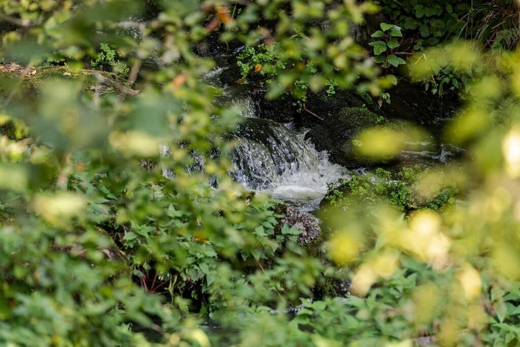 Photo of Outdoor in Wiesent