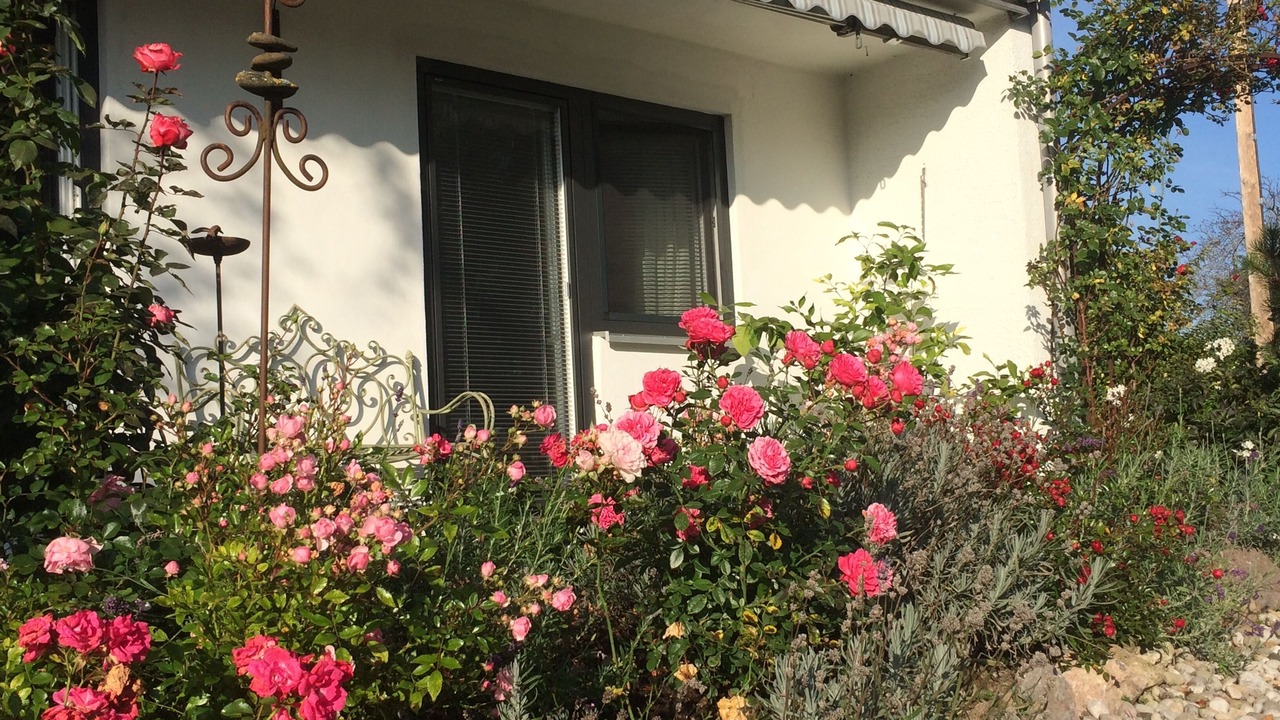 Photo of Outdoor in Rettenbach a.Auerberg