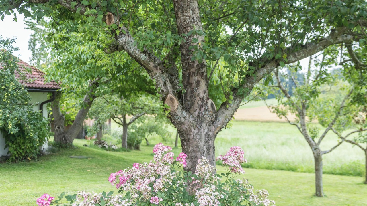 Photo of Outdoor in Gstadt am Chiemsee
