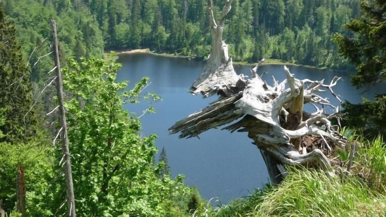 Photo of Others in Klingenbrunn