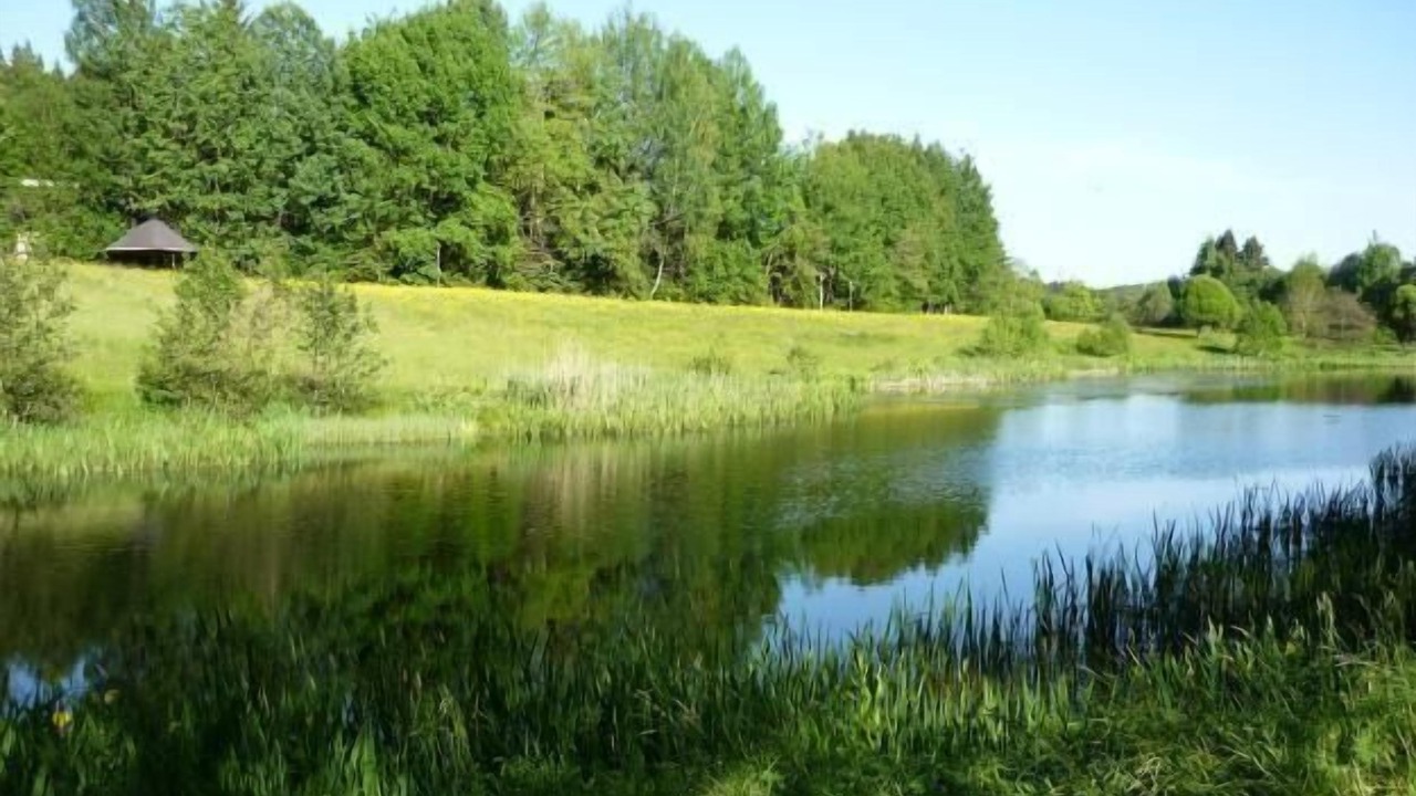 Photo of Others in Klingenbrunn