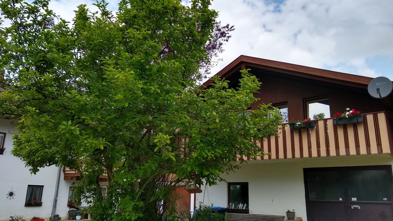 Photo of Outdoor in Eggstatt