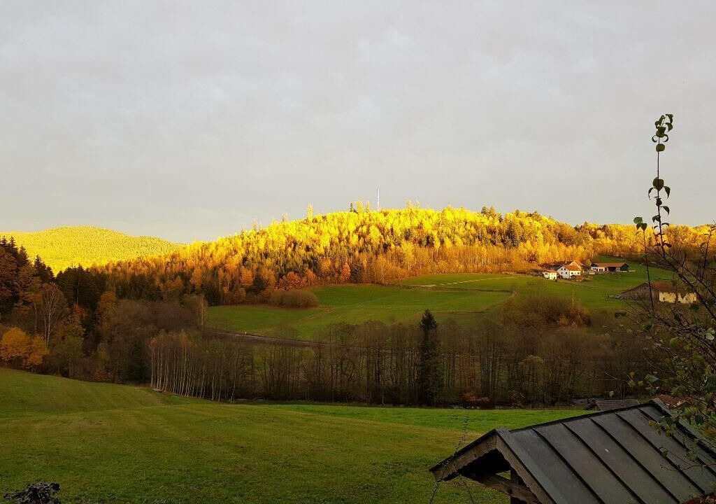 Photo of Outdoor in Ruhmannsfelden