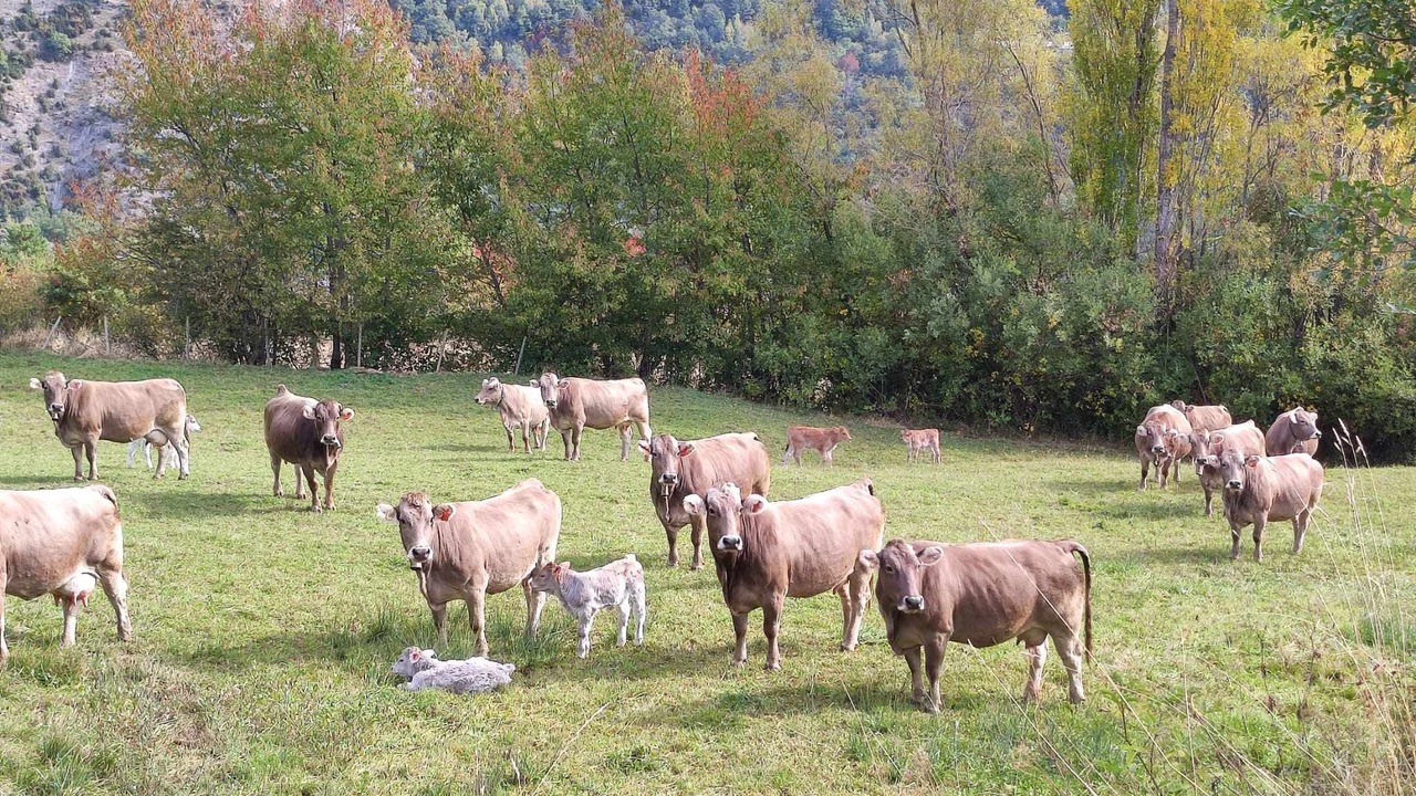 Photo of Outdoor in Escarrilla