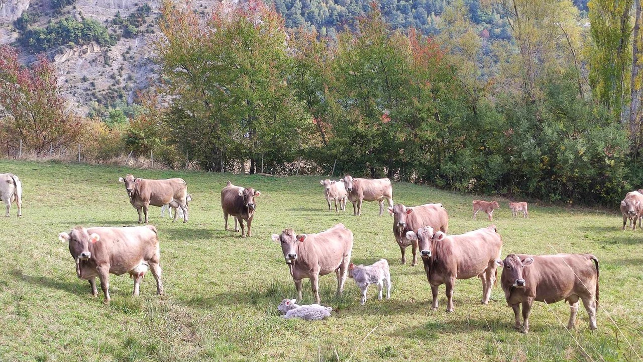 Photo of Outdoor in Escarrilla
