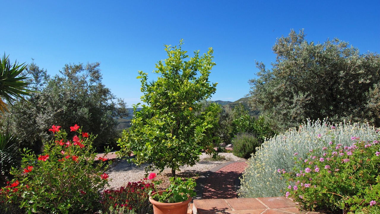 Photo of Outdoor in Comares