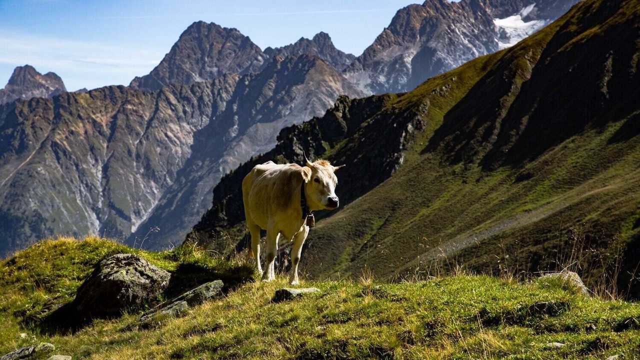 Photo of Outdoor in Ried im Oberinntal
