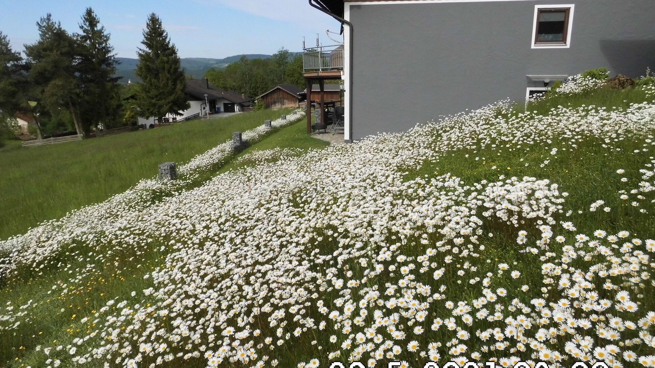 Photo of Outdoor in Konzell