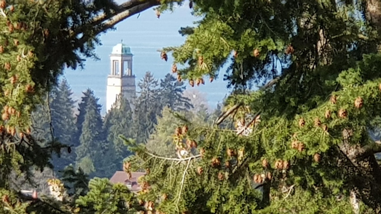 Photo of Others in Bodolz