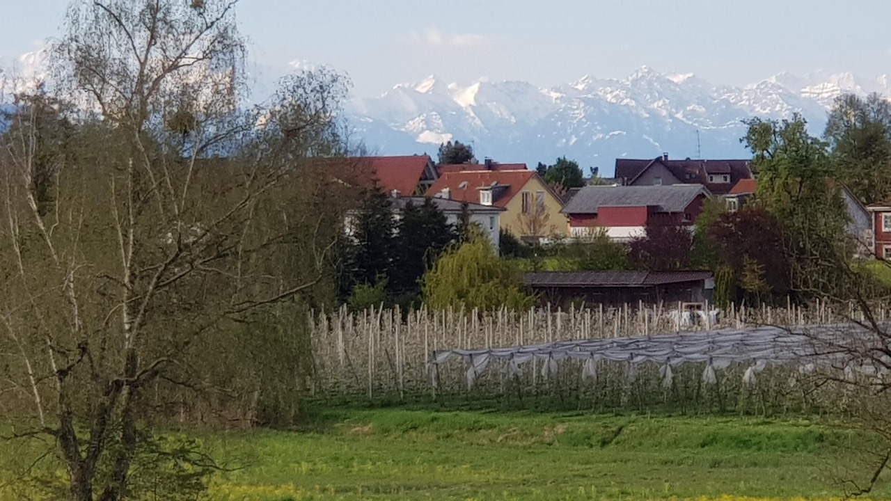 Photo of Others in Bodolz