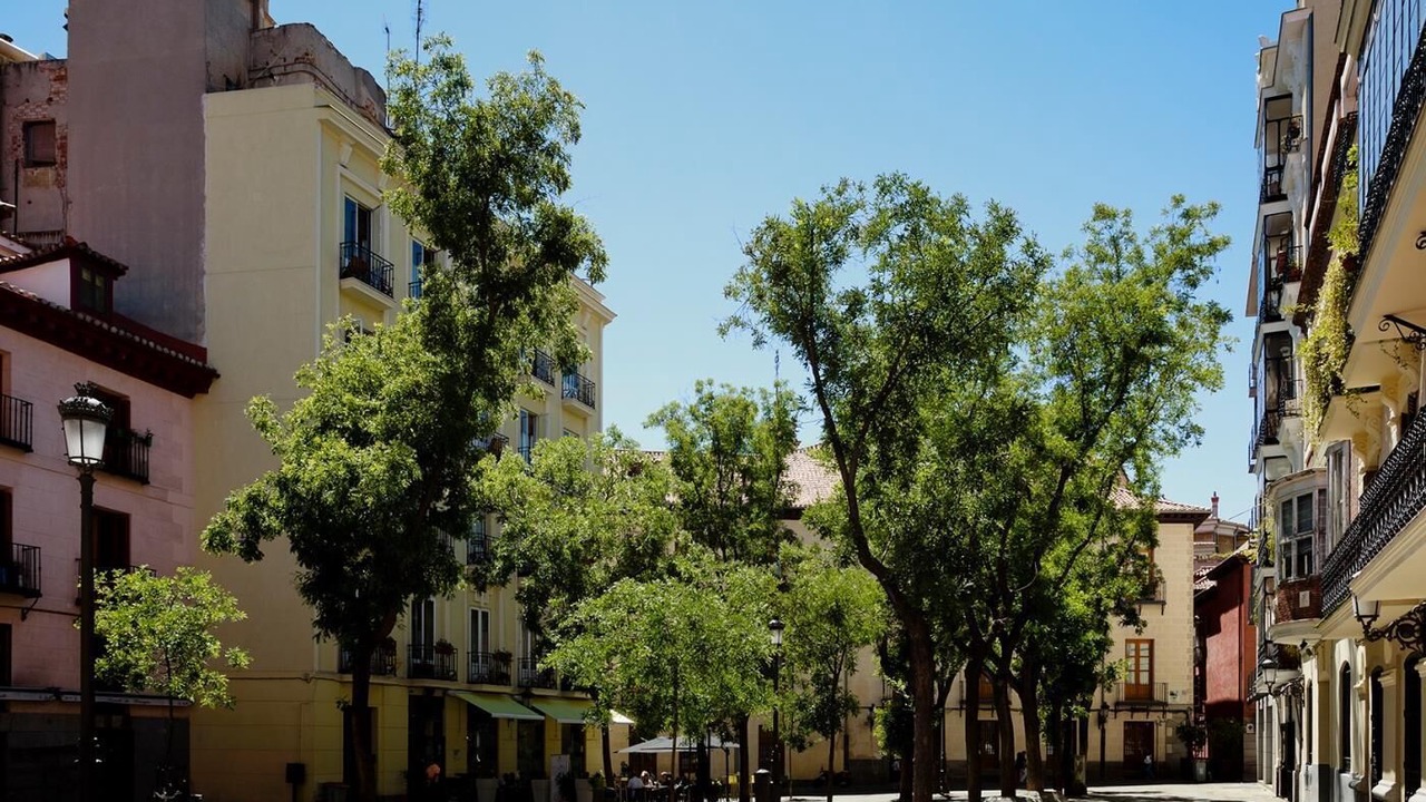 Photo of Outdoor in Palacio