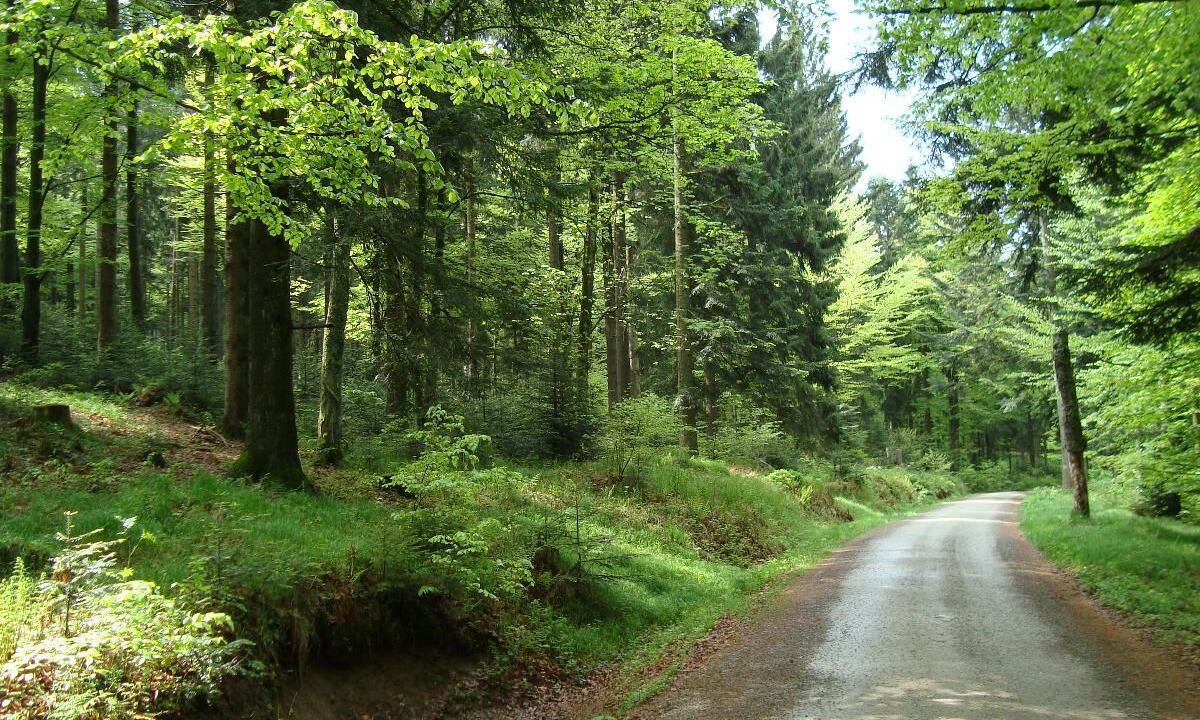 Photo of Outdoor in Glashutt