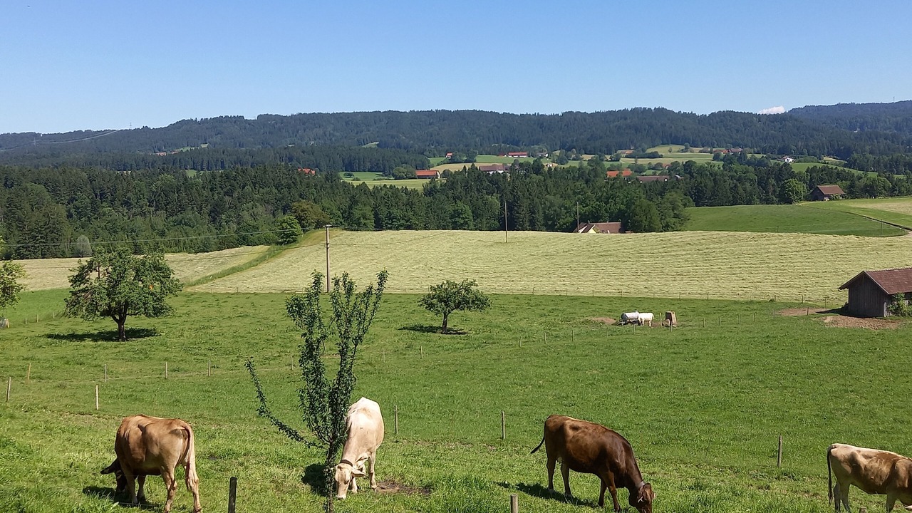 Photo of Outdoor in Hergensweiler