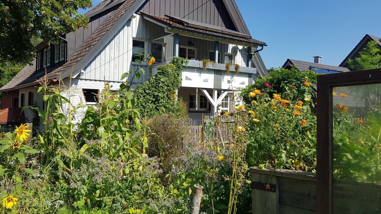 Photo of Outdoor in Lossburg