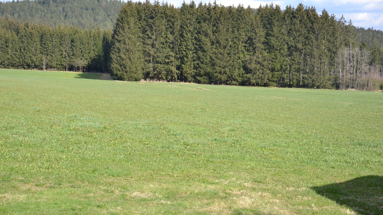 Photo of Others in Langdorf