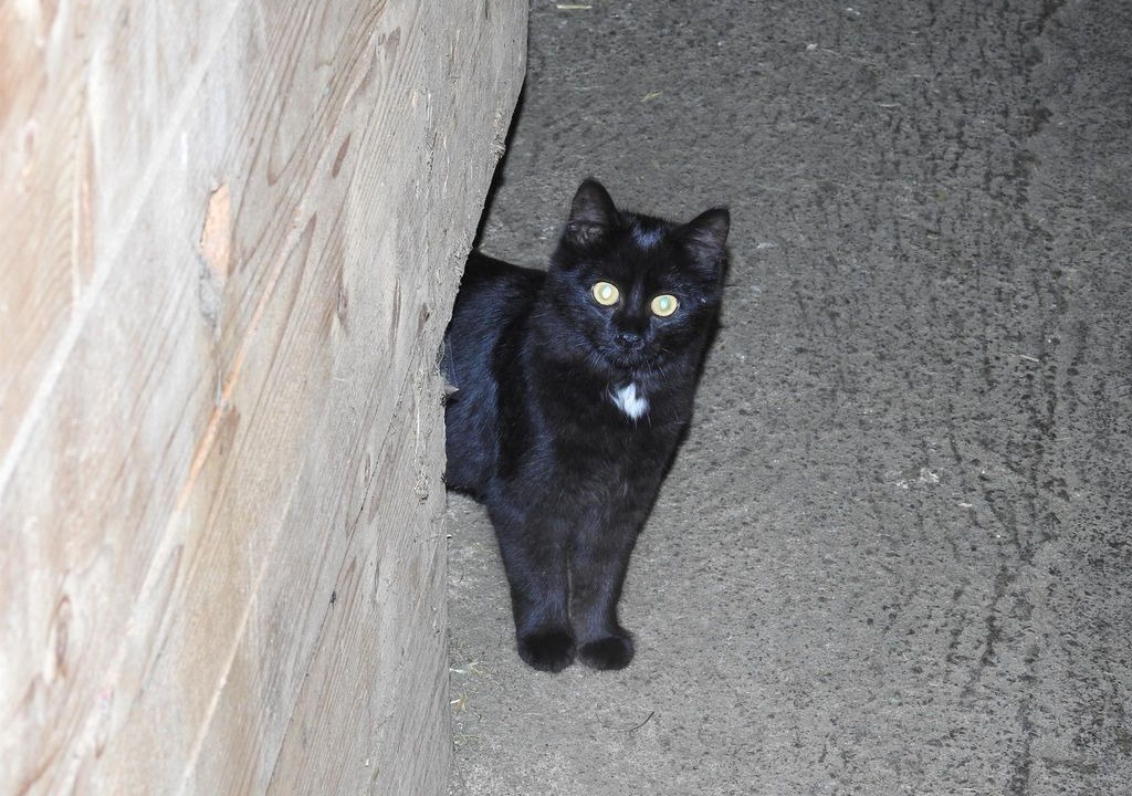 Photo of Others in Mittersill