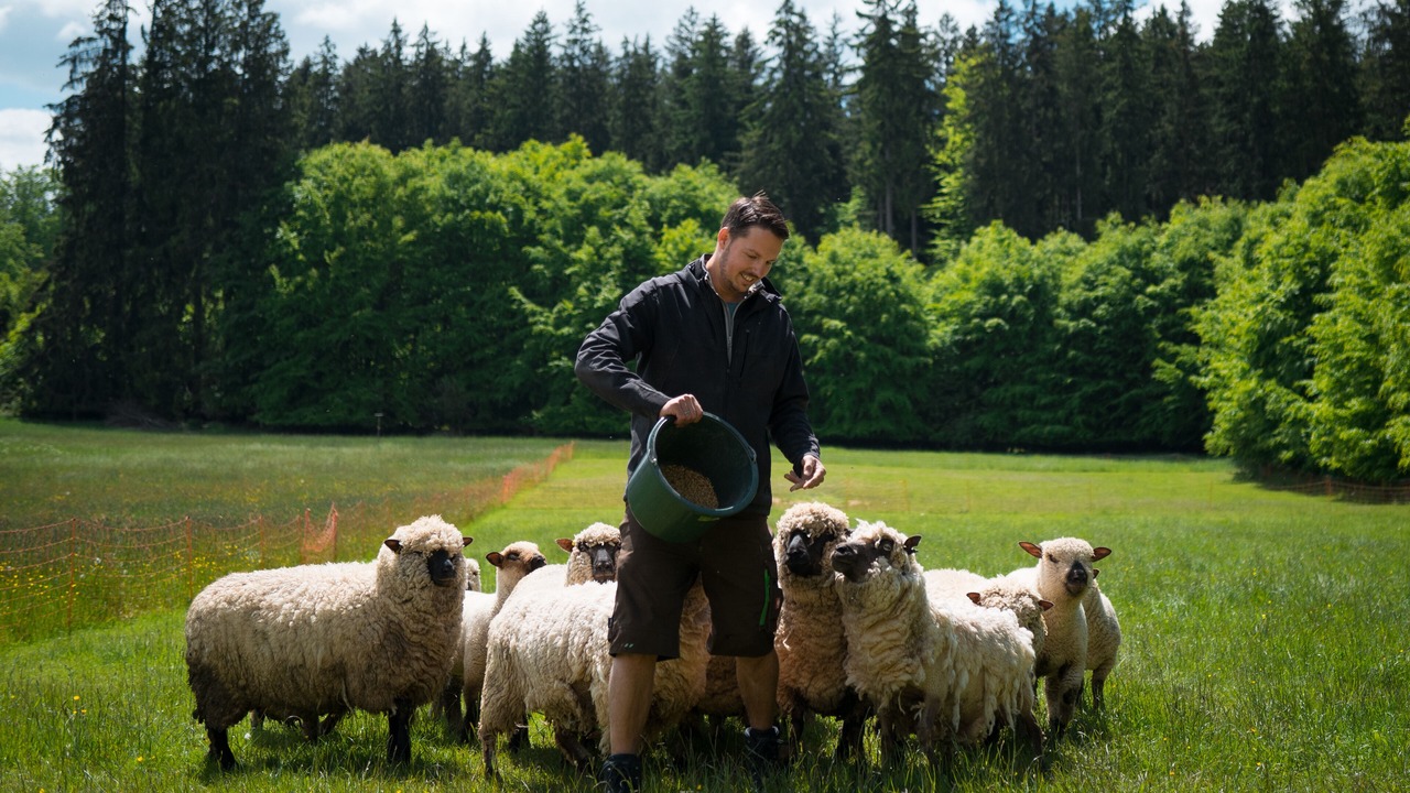 Photo of Others in Hanfeld