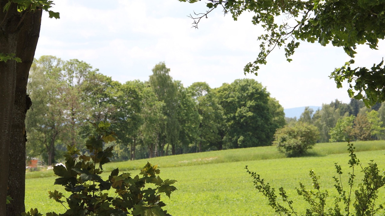 Photo of Others in Wunsiedel