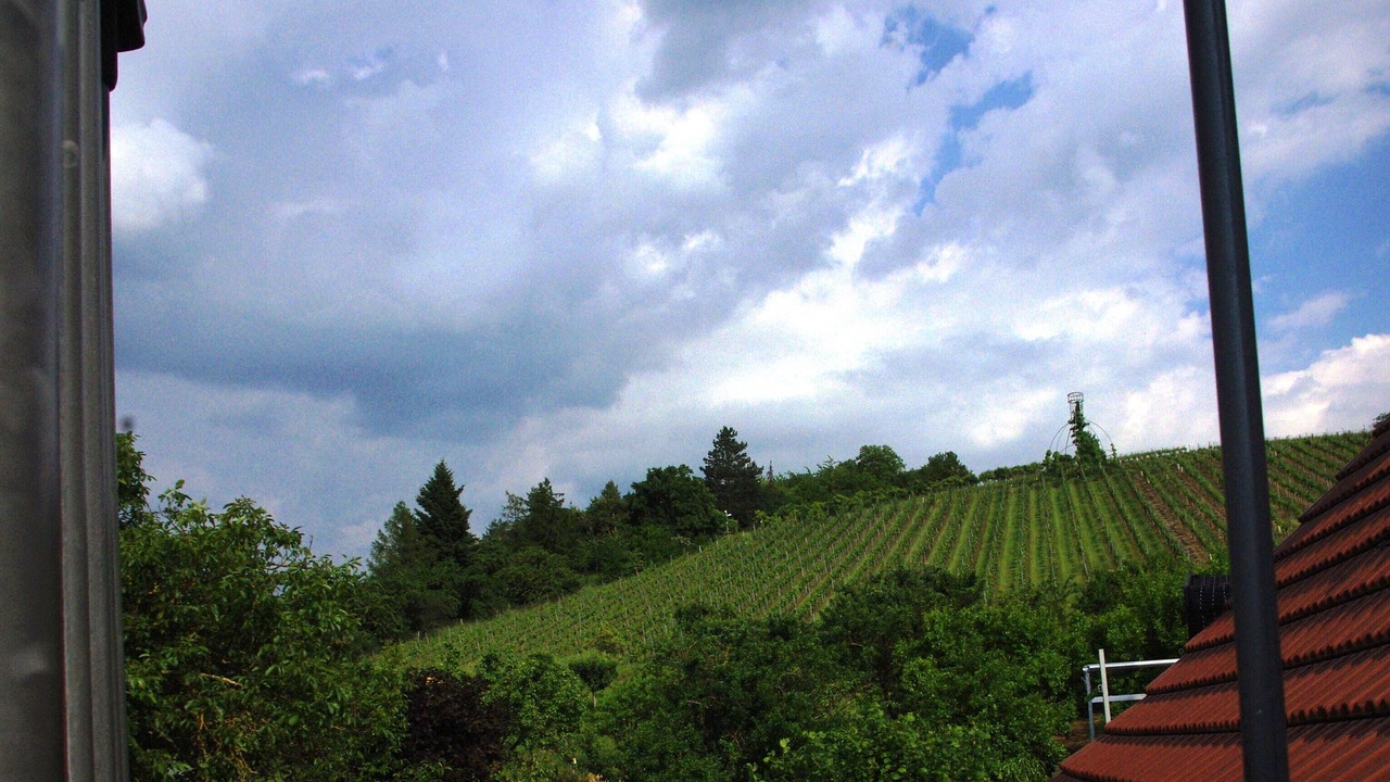 Photo of Others in Kolitzheim
