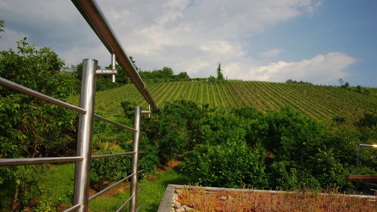 Photo of Outdoor in Kolitzheim