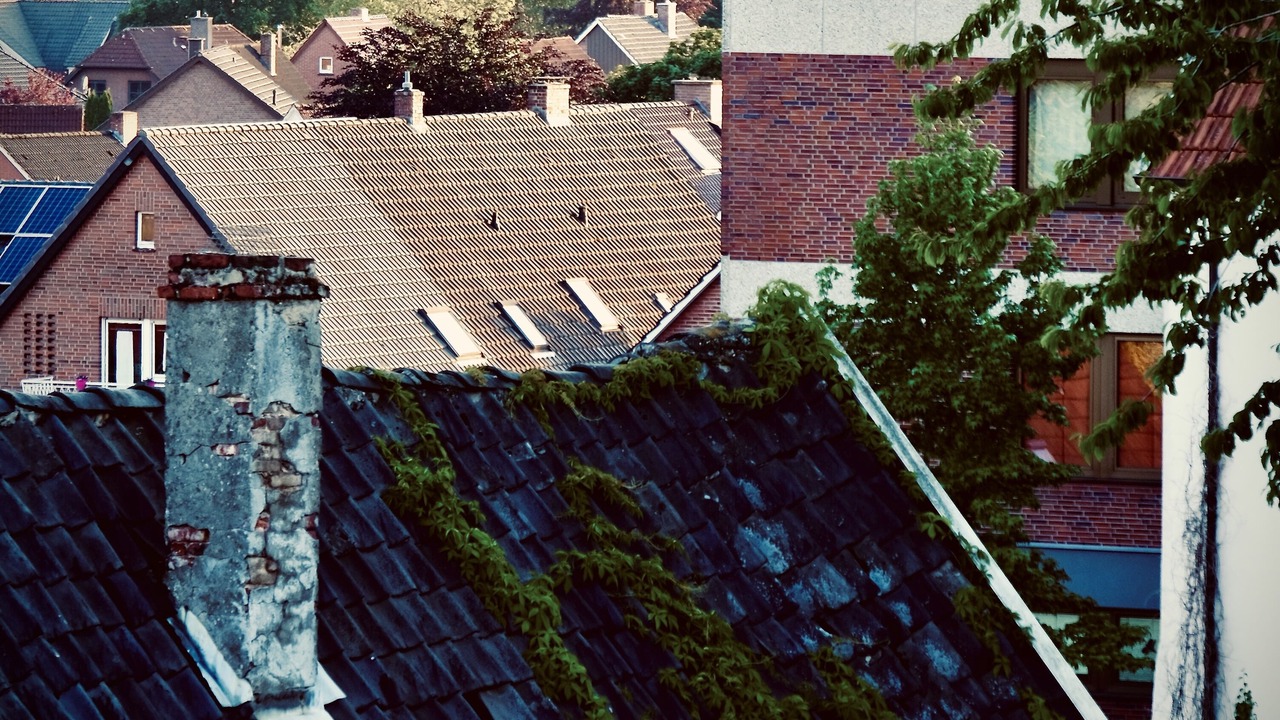 Photo of Outdoor in Bad Bentheim