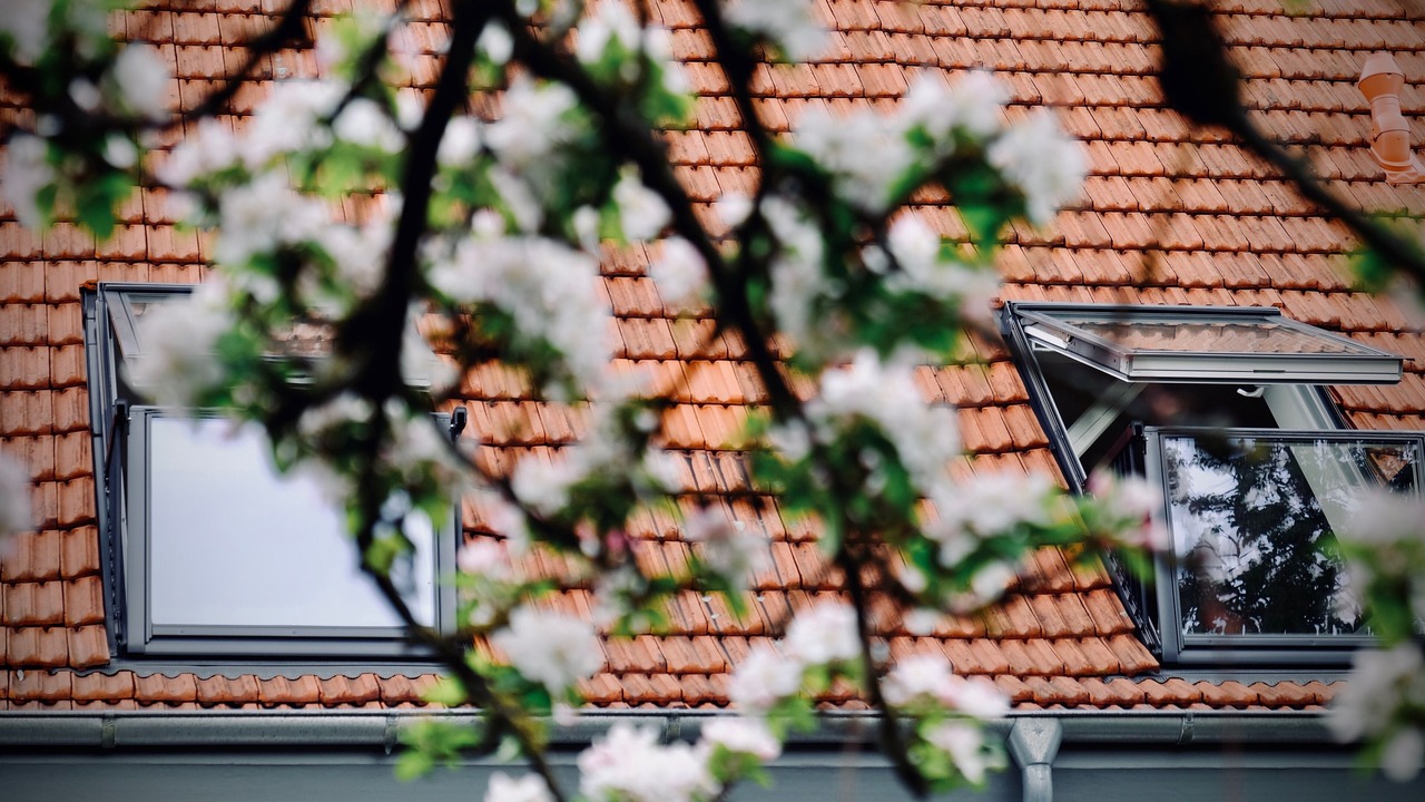 Photo of Others in Bad Bentheim