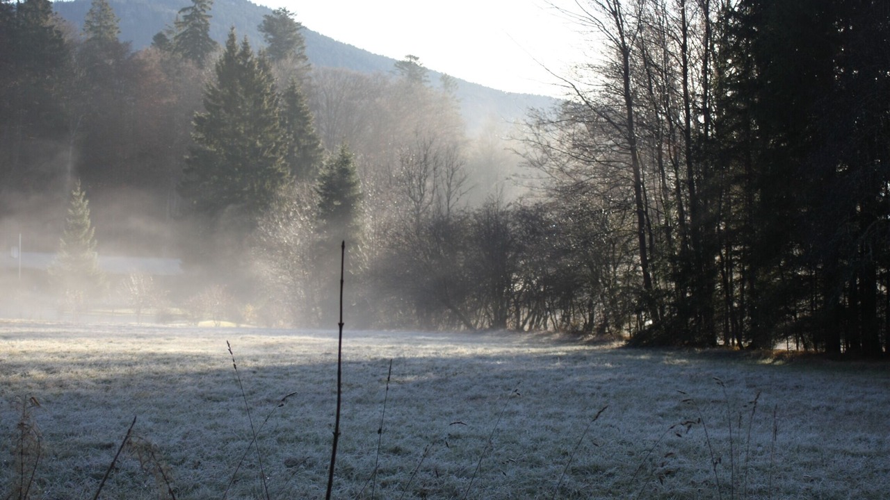 Photo of Outdoor in Lindberg