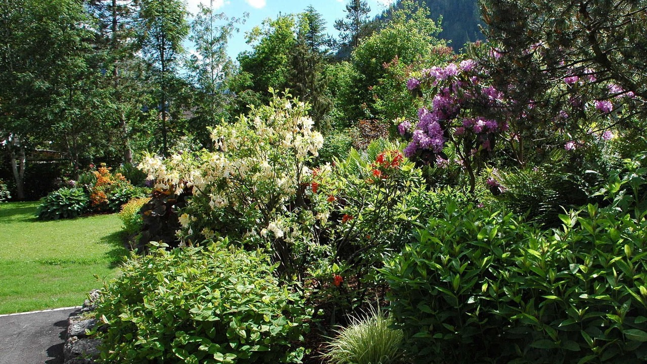 Photo of Outdoor in Tannheim
