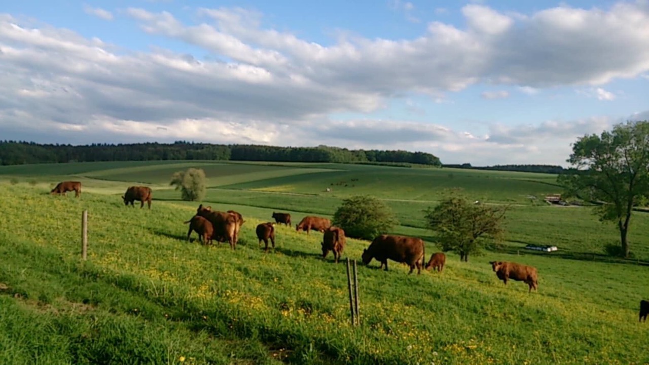 Photo of Others in Oberwaldbach
