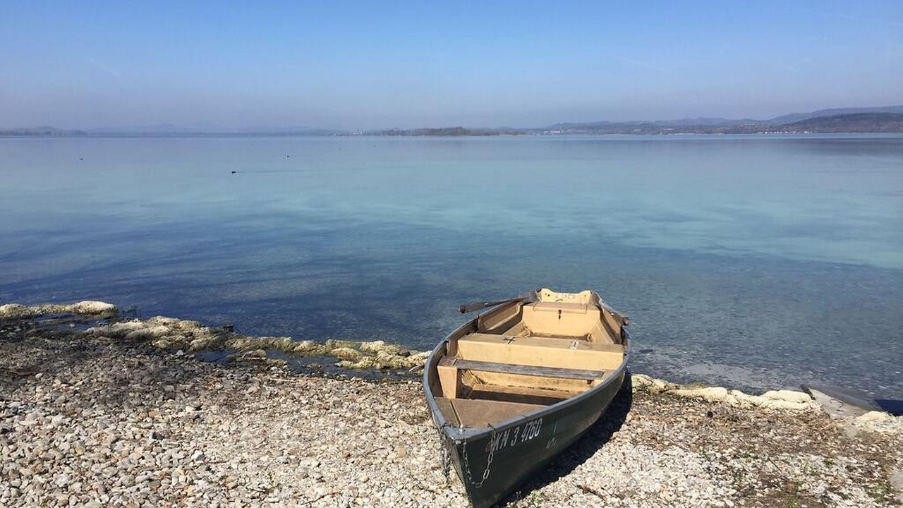Photo of Others in Reichenau