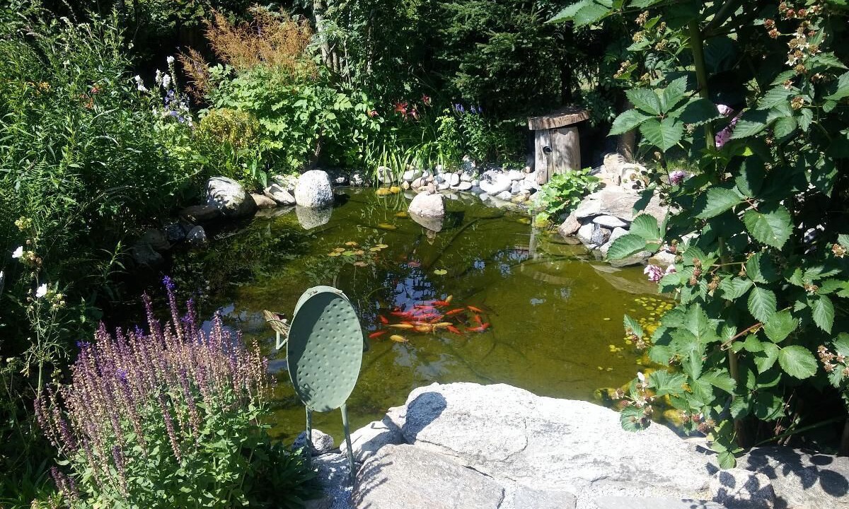 Photo of Outdoor in Solden