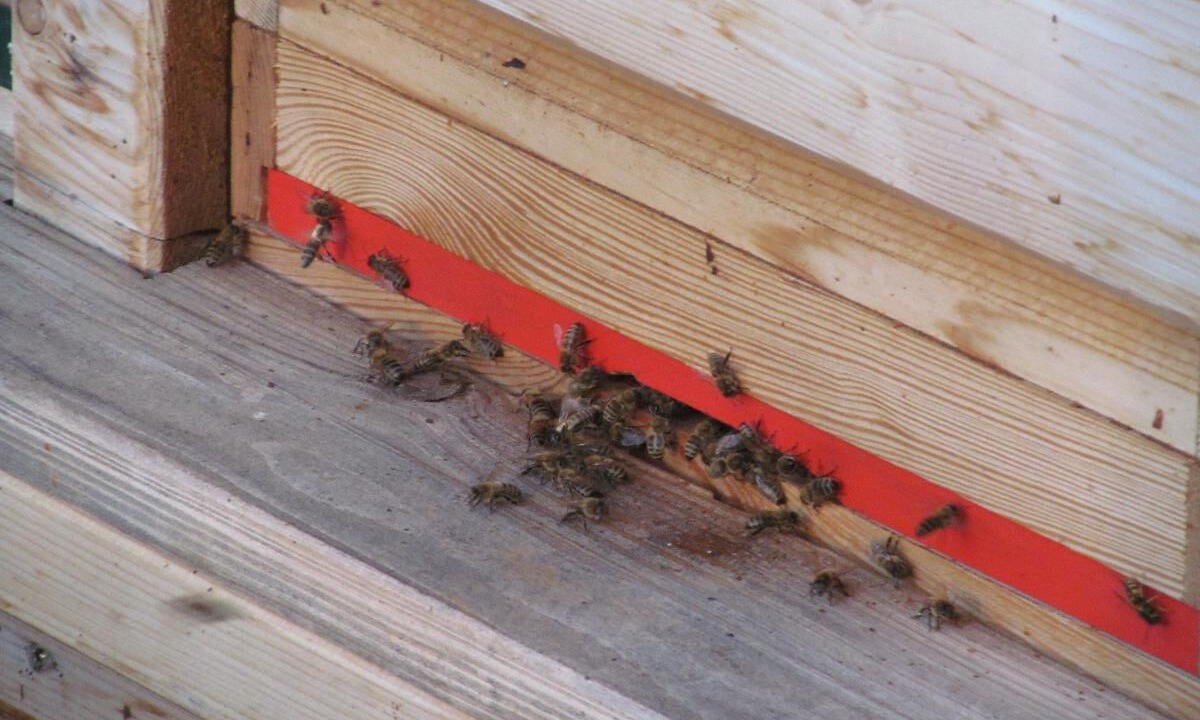 Photo of Others in Solden