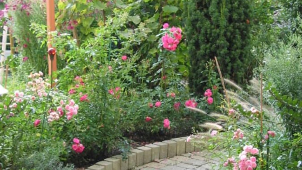 Photo of Outdoor in Bad Griesbach im Rottal