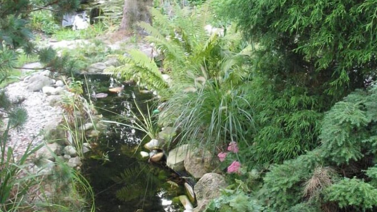Photo of Outdoor in Bad Griesbach im Rottal