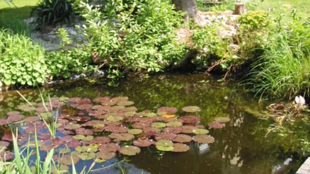 Photo of Outdoor in Bad Griesbach im Rottal