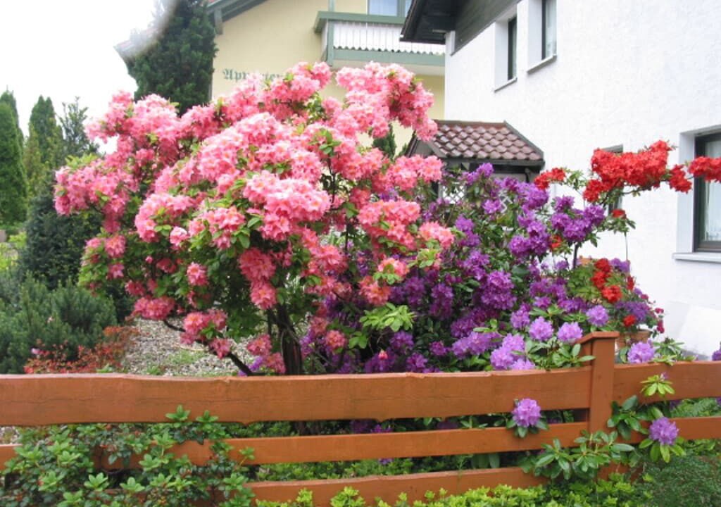 Photo of Outdoor in Bad Griesbach im Rottal