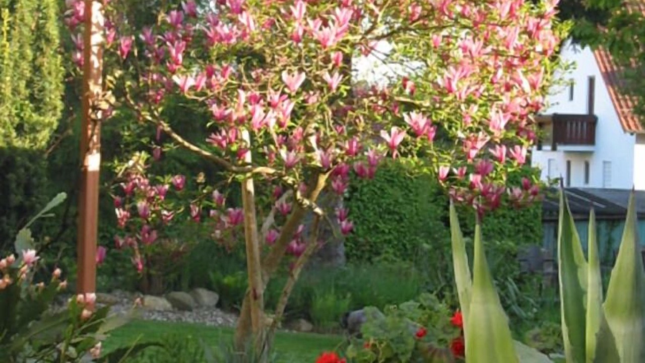 Photo of Outdoor in Bad Griesbach im Rottal
