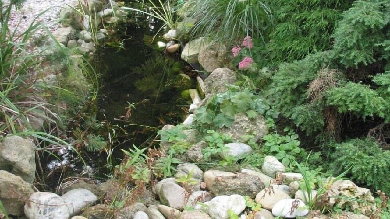 Photo of Outdoor in Bad Griesbach im Rottal