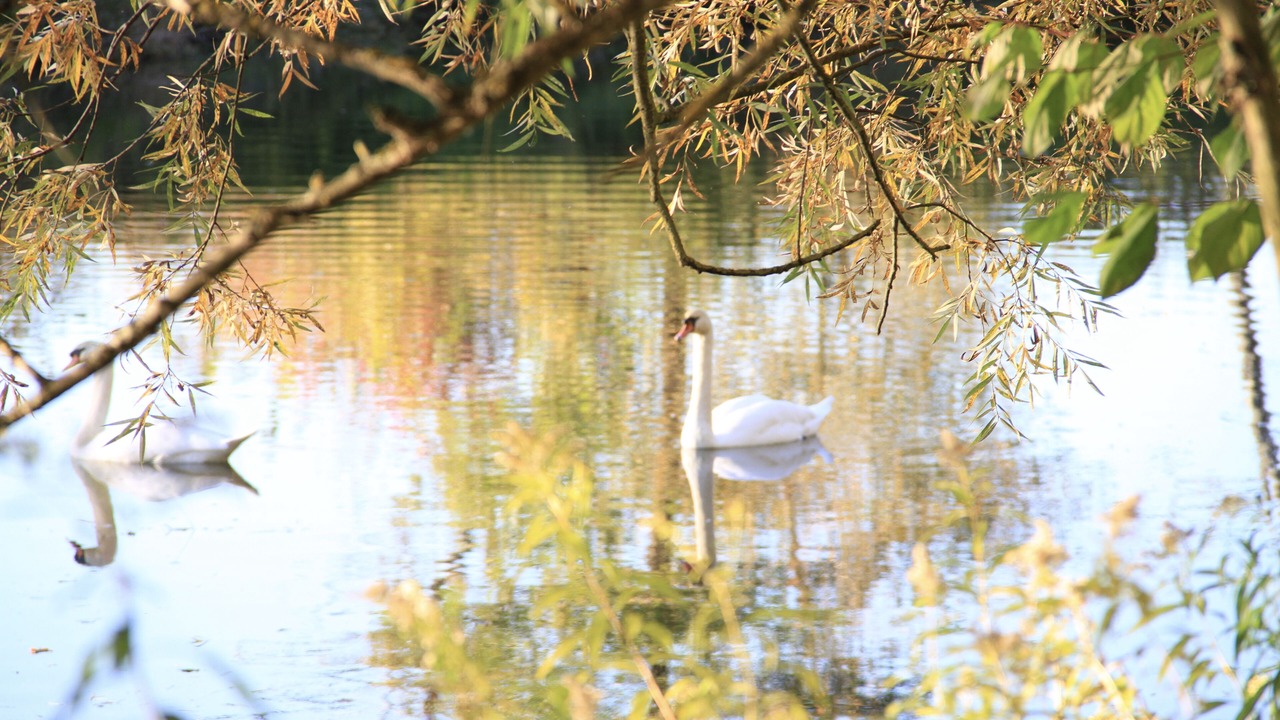 Photo of Outdoor in Pentling