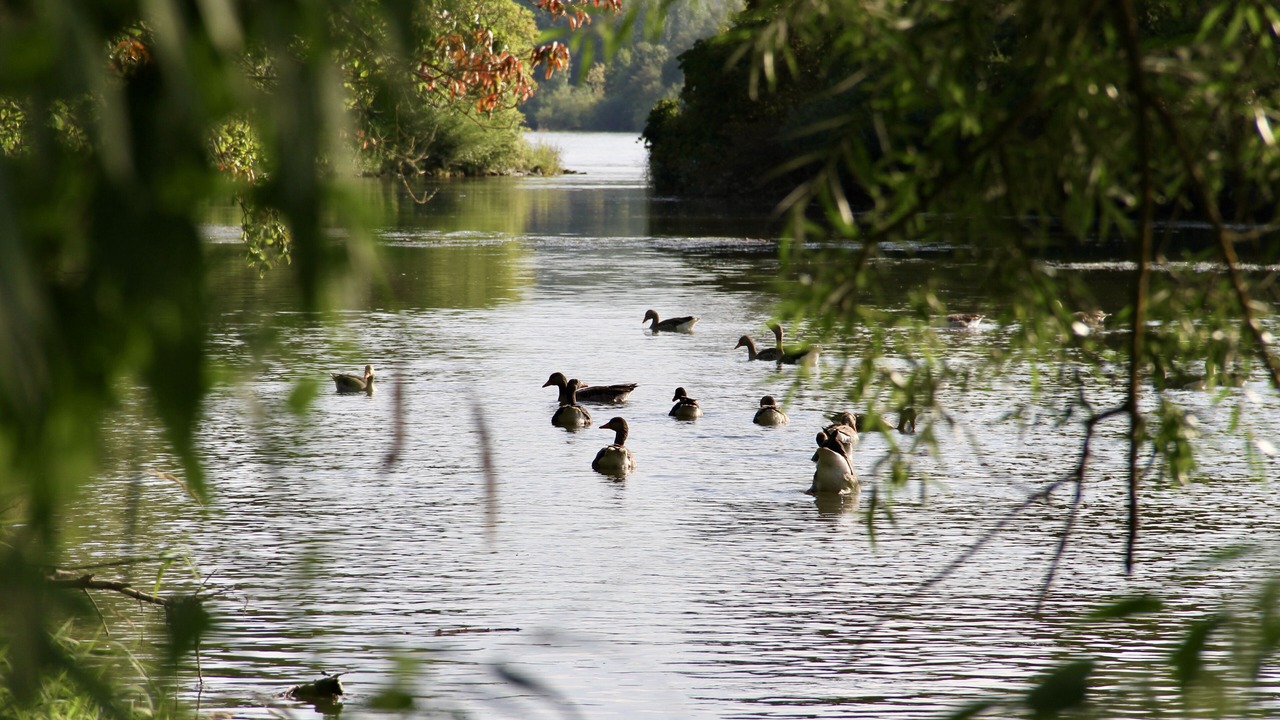 Photo of Others in Pentling