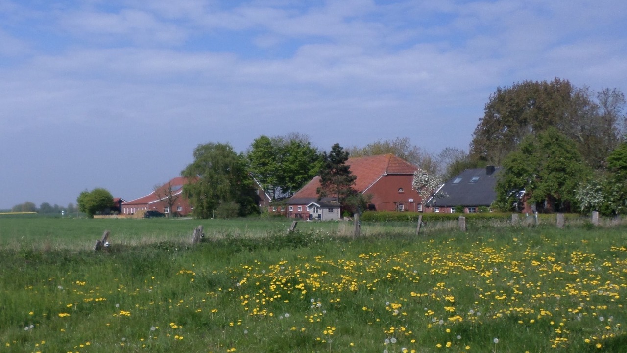 Photo of Others in Ditzumerhammrich