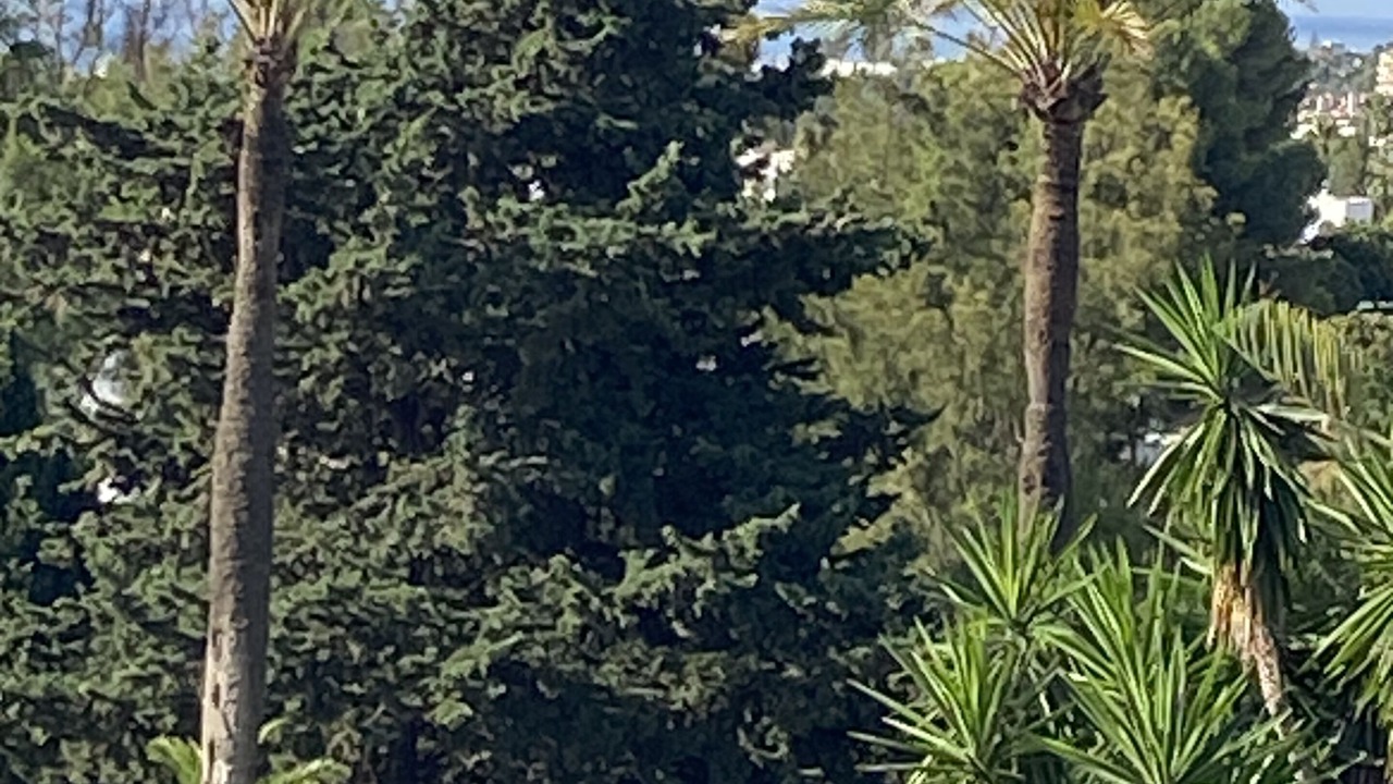 Photo of Outdoor in Marbella