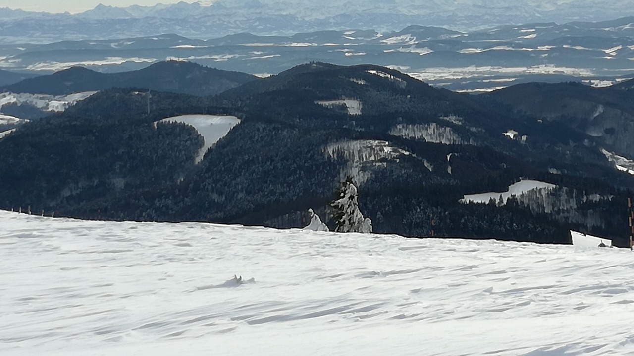 Photo of Others in Buggingen