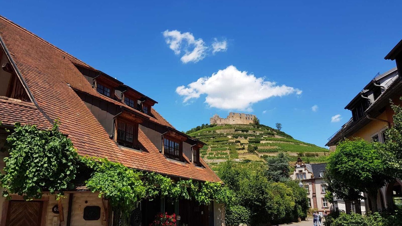 Photo of Outdoor in Buggingen