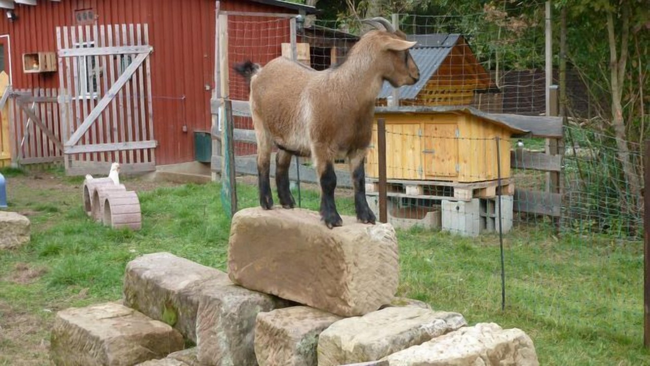 Photo of Outdoor in Ludwigschorgast