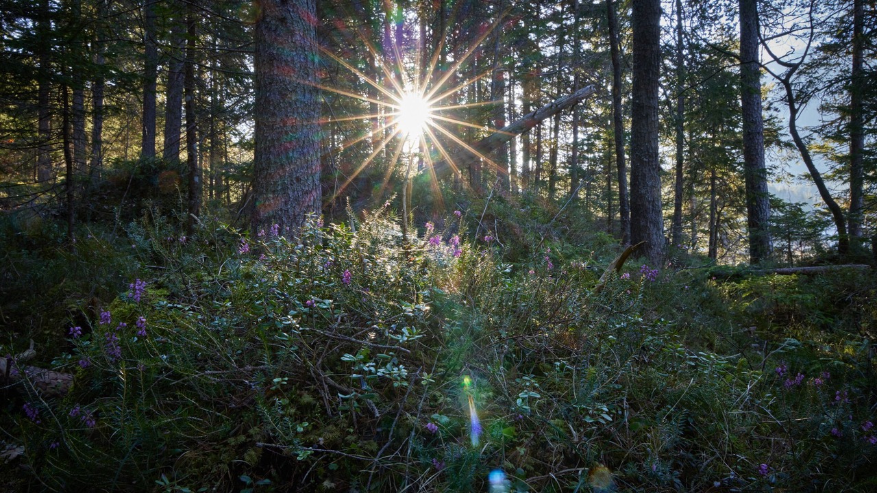 Photo of Outdoor in Garmisch-Partenkirchen