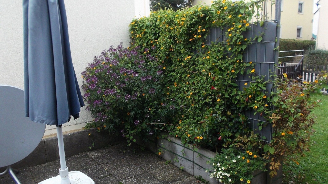 Photo of Outdoor in Treuchtlingen